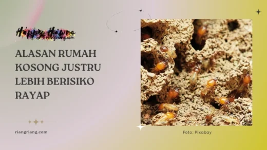 rumah kosong rayap